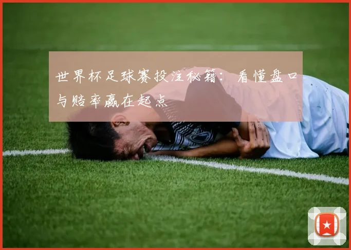 世界杯足球赛投注秘籍：看懂盘口与赔率赢在起点