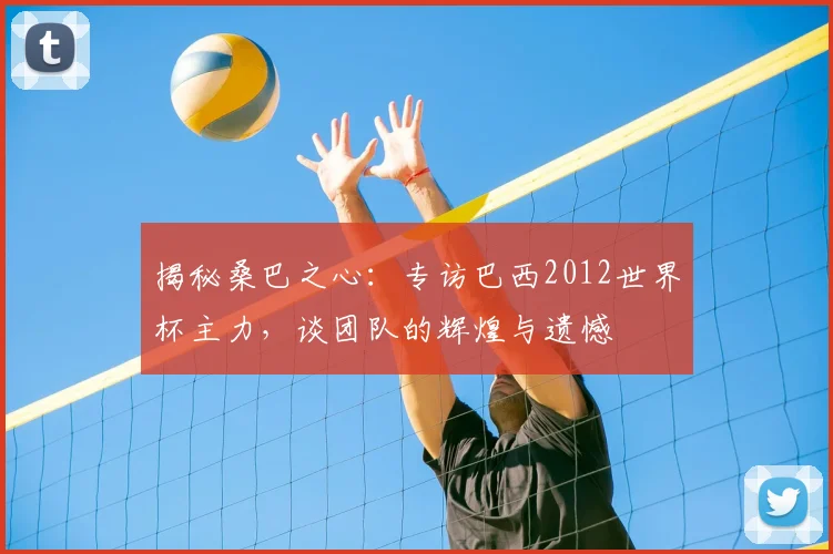揭秘桑巴之心：专访巴西2012世界杯主力，谈团队的辉煌与遗憾