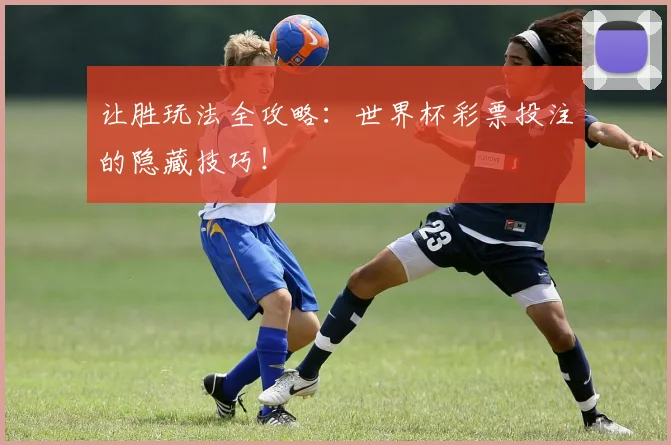 让胜玩法全攻略：世界杯彩票投注的隐藏技巧！
