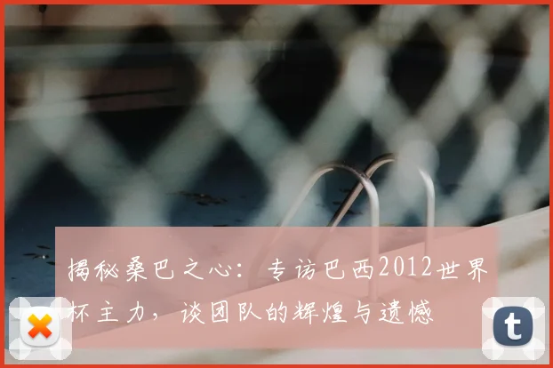 揭秘桑巴之心：专访巴西2012世界杯主力，谈团队的辉煌与遗憾