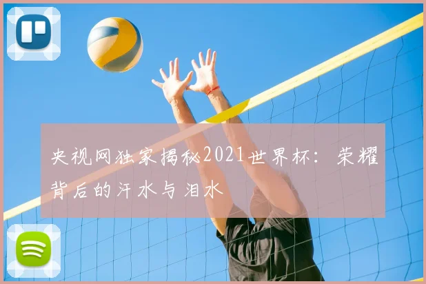 央视网独家揭秘2021世界杯：荣耀背后的汗水与泪水